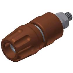 Hirschmann Test & Measurement PKI 10 A pólová svorka hnědá 35 A 1 ks