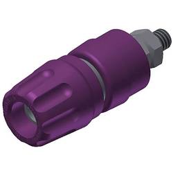 Hirschmann Test & Measurement PKI 10 A pólová svorka fialová 35 A 1 ks