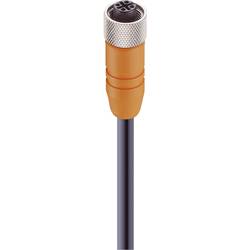 Lumberg Automation RKTS 4-182/2 M upravený zástrčkový konektor pro senzory - aktory, 11411-1, piny: 4, 2.00 m, 1 ks