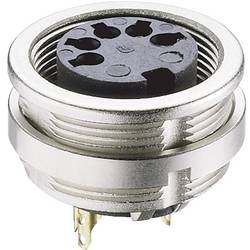 Lumberg 0304 05 DIN kruhový konektor zásuvka, vestavná vertikální Pólů: 5 stříbrná 1 ks