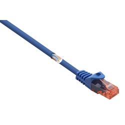 Renkforce RJ45 síťové kabely, propojovací kabely CAT 6 U/UTP 3.00 m modrá s ochranou, bez halogenů 1 ks
