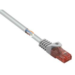 Renkforce RF-5047522 RJ45 síťové kabely, propojovací kabely CAT 6 U/UTP 3.00 m šedá s ochranou, bez halogenů 1 ks