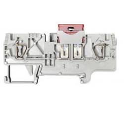 Pojistková svorka pro Kfz-Sicherungen WKFN 4 FSI Wieland Electric šedá Množství: 1 ks