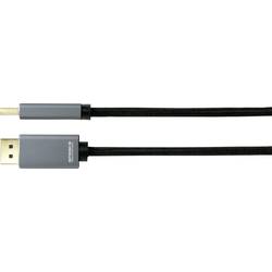 SpeaKa Professional DisplayPort kabel Konektor DisplayPort, Konektor DisplayPort 5.00 m černá SP-8993892 pozlacené kontakty Kabel DisplayPort