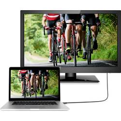 SpeaKa Professional DisplayPort kabel Konektor DisplayPort, Konektor DisplayPort 5.00 m černá SP-8993892 pozlacené kontakty Kabel DisplayPort