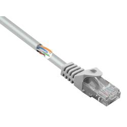 Renkforce RF-5043980 RJ45 síťové kabely, propojovací kabely CAT 5e U/UTP 3.00 m šedá s ochranou 1 ks