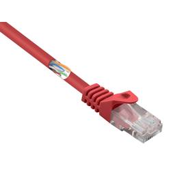 Renkforce RF-5043840 RJ45 síťové kabely, propojovací kabely CAT 5e U/UTP 1.00 m červená s ochranou 1 ks