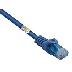 Renkforce RF-5043862 RJ45 síťové kabely, propojovací kabely CAT 5e U/UTP 0.50 m modrá s ochranou, bez halogenů 1 ks