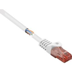 Renkforce RF-5043884 RJ45 síťové kabely, propojovací kabely CAT 6 U/UTP 2.00 m bílá s ochranou, bez halogenů 1 ks