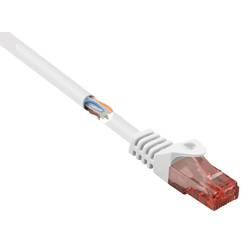 Renkforce RJ45 síťové kabely, propojovací kabely CAT 6 U/UTP 0.50 m bílá s ochranou, bez halogenů 1 ks
