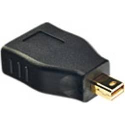 LINDY 41077 Mini-DisplayPort / DisplayPort adaptér [1x mini DisplayPort zástrčka - 1x zásuvka DisplayPort] černá