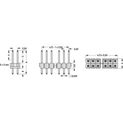 Fischer Elektronik pinová lišta (standardní) Počet řádků: 2 Počet kontaktů v řadě: 36 10055235 1 ks