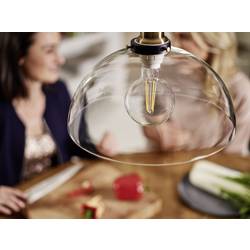 Philips LED 929001387901 LED Energetická třída (EEK2021) E (A - G) E27 kulatý tvar 7 W = 60 W teplá bílá (Ø x d) 95 mm x 140 mm vlákno 1 ks