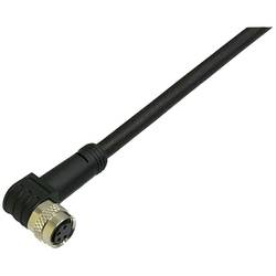 BKL Electronic připojovací kabel pro senzory - aktory, 2700013, piny: 4, 5 m, 1 ks