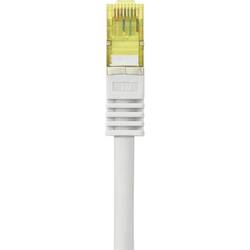 Renkforce RF-4149864 RJ45 síťové kabely, propojovací kabely CAT 6a (surový kabel CAT 7) S/FTP 1.00 m šedá s ochranou, samozhášecí 1 ks