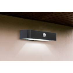 Sygonix venkovní solární nástěnné osvětlení s PIR senzorem SY-4677502 SMD LED 1 W studená bílá černá