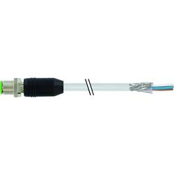 Murrelektronik 7000-17081-2911000 neupravený zástrčkový konektor pro senzory - aktory, 7000-17081-2911000, piny: 8, 10.00 m, 1 ks