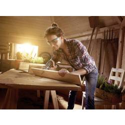 akumulátorová motorová pila Bosch Home and Garden EasyCut 12, vč. příslušenství, akumulátor, vč. nabíječky, kufřík