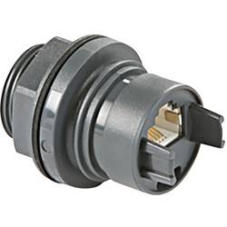 Bulgin PXP6033TP/E, RJ45 konektor, zásuvka, vestavná, černá, 1 ks