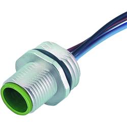 Murrelektronik neupravený zástrčkový konektor pro senzory - aktory, 7000-13521-9020020, piny: 5, 0.20 m, 1 ks