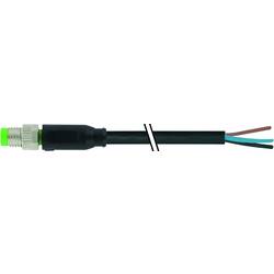 Murrelektronik neupravený zástrčkový konektor pro senzory - aktory, 7000-08001-6100030, piny: 3, 0.30 m, 1 ks