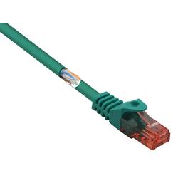 Renkforce RF-5153666 RJ45 síťové kabely, propojovací kabely CAT 6 U/UTP 3.00 m zelená s ochranou, bez halogenů 1 ks