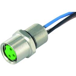 Murrelektronik neupravený zástrčkový konektor pro senzory - aktory, 7000-08571-9700050, piny: 3, 0.50 m, 1 ks