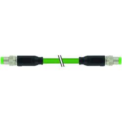 Murrelektronik 7000-89701-7910050 upravený zástrčkový konektor pro senzory - aktory M8 x 1 zástrčka, rovná, zástrčka, rovná 0.50 m Počet pólů: 4 1 ks