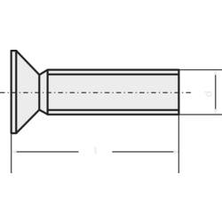 TOOLCRAFT M4*12 D965-4.8-A2K 194642 zápustný šroub M4 12 mm křížová drážka Philips DIN 965 ocel pozinkované 100 ks