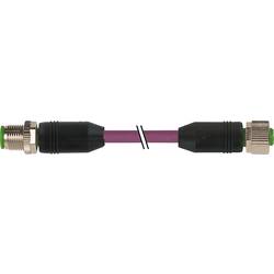 Murrelektronik upravený zástrčkový konektor pro senzory - aktory, 7000-40531-8030250, piny: 5, 2.50 m, 1 ks