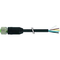 Murrelektronik neupravený zástrčkový konektor pro senzory - aktory, 7000-17041-7221000, piny: 8, 10.00 m, 1 ks