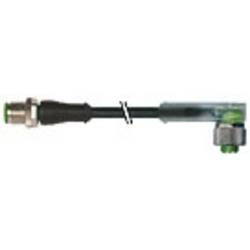 Murrelektronik 7000-40341-6540030 upravený zástrčkový konektor pro senzory - aktory M12 x 1 zástrčka, rovná, zásuvka, zahnutá 0.30 m Počet pólů: 4 1 ks