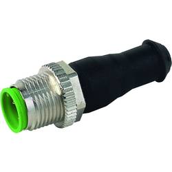 Murrelektronik 7000-15041-0000000 zakončovací zástrčka akčního/snímacího členu , 7000-15041-0000000, piny: 6, 1 ks