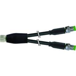 Murrelektronik rozdělovač a adaptér pro senzory - aktory , 7000-87251-6300030, piny: 4, 0.30 m, 1 ks