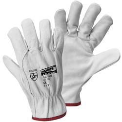 Leipold Doehle 1606-10 DRIVER GLOVE hovězí lícovaná useň pracovní rukavice Velikost rukavic: 10, XL EN 388 CAT II 1 pár