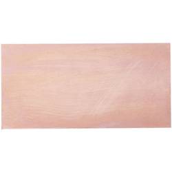 Rademacher WR-Typ 611 základní materiál dvoustranná 35 µm Foto vrstva žádný (d x š) 160 mm x 100 mm 1 ks