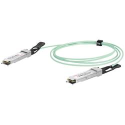 Digitus DN-81625 DN-81625 kabel 100 GBit/s 5 m