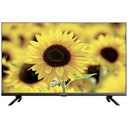 Strong D555 SRT 32HD5553 LED TV 80 cm 32 palec Energetická třída (EEK2021) F (A - G) černá