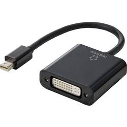 Renkforce RF-4769258 DisplayPort / DVI adaptér [1x mini DisplayPort zástrčka - 1x DVI zásuvka 24+5pólová] černá PVC plášť 15.00 cm
