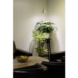 Venso lampa na rostliny 89.5 mm 230 V E27 6 W neutrální bílá žárovka 1 ks