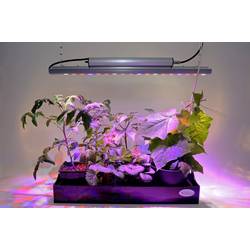 Venso LED lampa pro růst rostlin 65 cm 230 V pevně vestavěné LED 35 W RGBW 1 ks