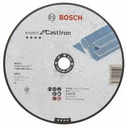 Bosch Accessories 2608600546 2608600546 řezný kotouč rovný 230 mm 1 ks litina