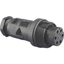 Bulgin PX0801 kulatý faston zástrčka, vestavná Série konektoru: PX08 1 ks