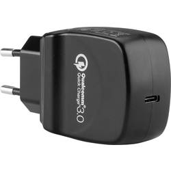 LVSUN QW20-C USB nabíječka 20 W vnitřní Výstupní proud (max.) 3000 mA 1x USB-C® Počet výstupů: 1 x USB Power Delivery (USB-PD)