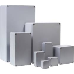 Bernstein CA-080 1080000000 univerzální pouzdro 98 x 64 x 36 hliník stříbrnošedá (RAL 7001) 1 ks