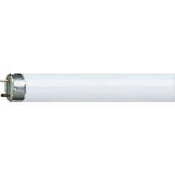 OSRAM zářivková trubice Energetická třída (EEK2021): G (A - G) G13 58 W denní bílá zářivkový tvar (Ø x d) 26 mm x 1514.2 mm 1 ks