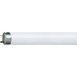 OSRAM zářivková trubice Energetická třída (EEK2021): G (A - G) G13 18 W studená bílá zářivkový tvar (Ø x d) 26 mm x 604 mm 1 ks