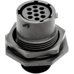 Amphenol RTS 7 12N 10S03 kulatý faston, 1 ks