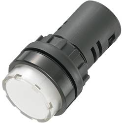 TRU COMPONENTS 140415 indikační LED bílá 230 V/AC 20 mA AD16-22ES/230V/W