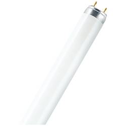 OSRAM zářivková trubice Energetická třída (EEK2021): G (A - G) G13 36 W teplá bílá zářivkový tvar (Ø x d) 26 mm x 1213.5 mm 1 ks